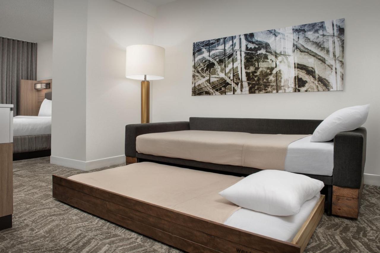 Springhill Suites By Marriott Atlanta Buford/Mall Of Georgia Экстерьер фото